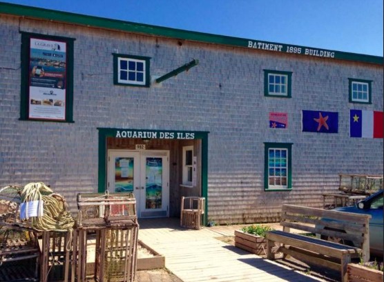 Capture d'écran 2017-03-17 08.16.27